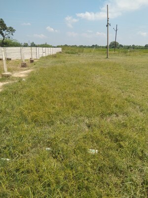 Plot Area in  Land at Kanpur University – for Sale