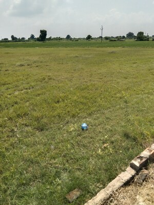  Land – Garden View at Kanpur University - for Sale