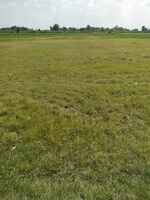 40837 Sq.Ft. Land in Kanpur University