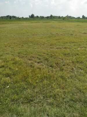  Land For Sale in Kanpur University