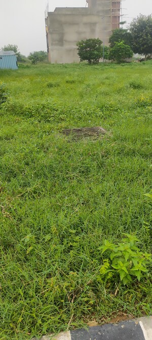 Plot Area in  Plot at Wave City, Wave City – for Sale