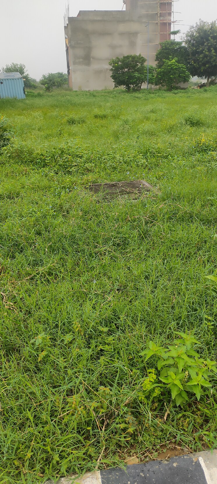 undefined, wave-city  239 Sq.Yd. Plot In Wave City Ghaziabad 9079780