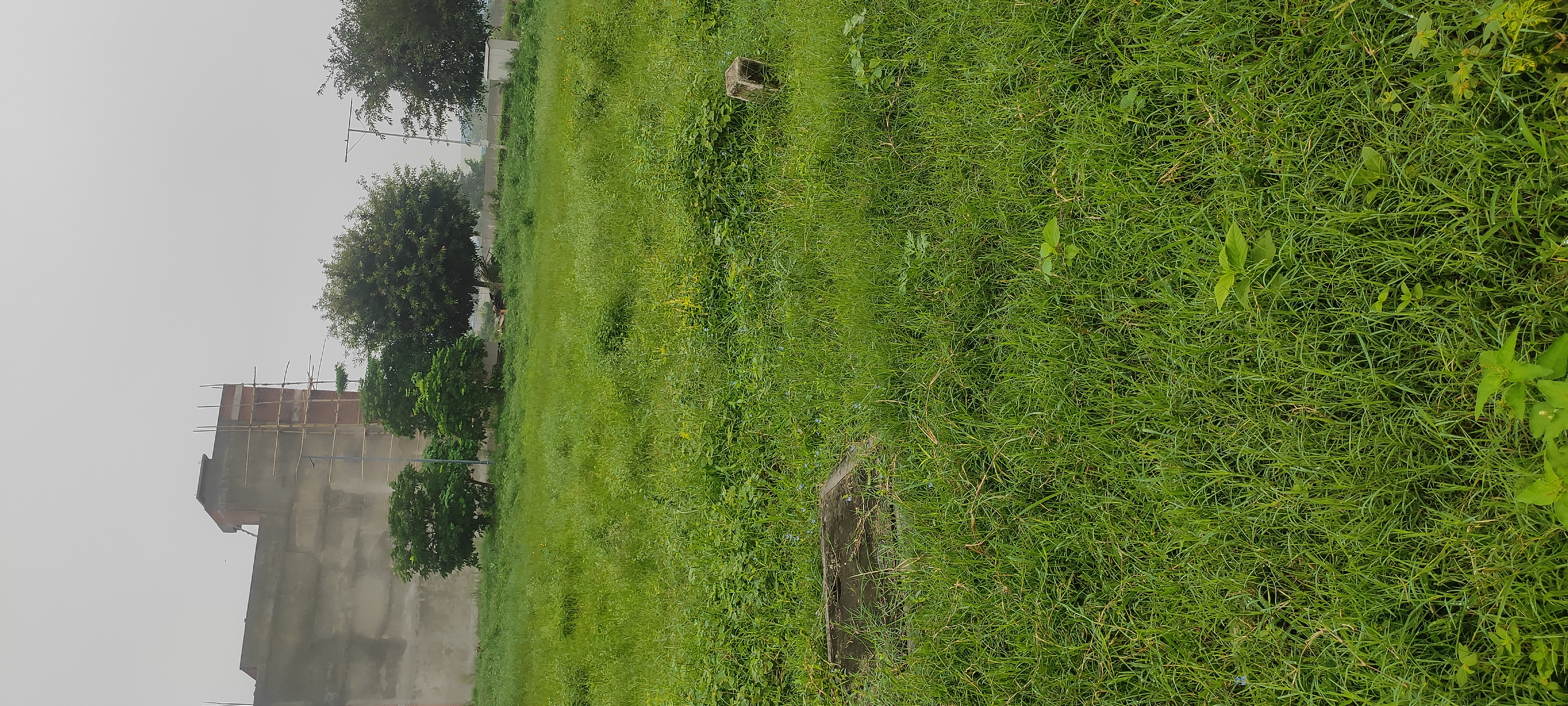 Plot For Sale in Wave City