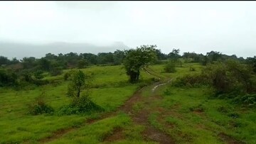 Plot Area in  Plot at Mandangad – for Sale