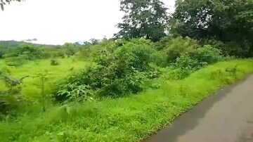 Plot Area in  Plot at Mandangad – for Sale