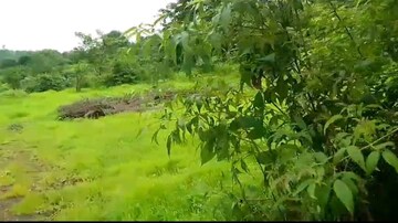 Plot Area in  Plot at Mandangad – for Sale
