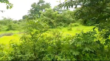 Plot Area in  Plot at Mandangad – for Sale