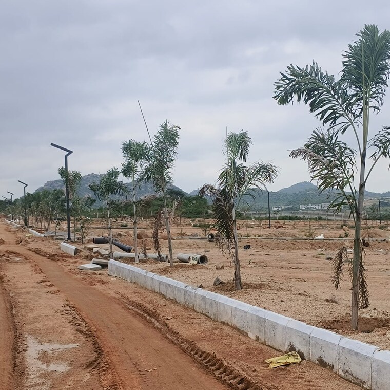 undefined, shadnagar  250 Sq.Yd. Plot In Shadnagar Hyderabad 9079851