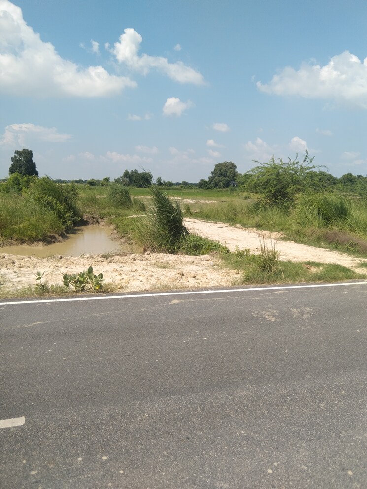 undefined, kanpur university Commercial Land 1 Acre In Kanpur University Kanpur 9079976