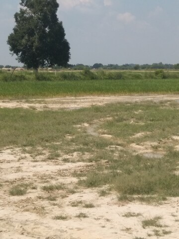 Plot Area in  Land at Kanpur University – for Sale
