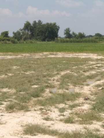  Land For Sale in Kanpur University