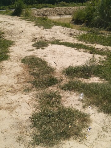 Plot Area in  Land at Kanpur University – for Sale
