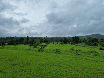  Plot For Sale in Mahad