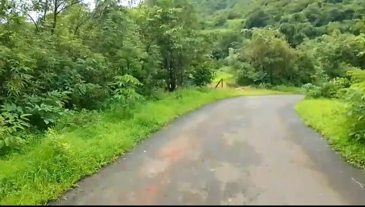 Garden, mahad  10 Acre Plot In Mahad Raigad 9079980
