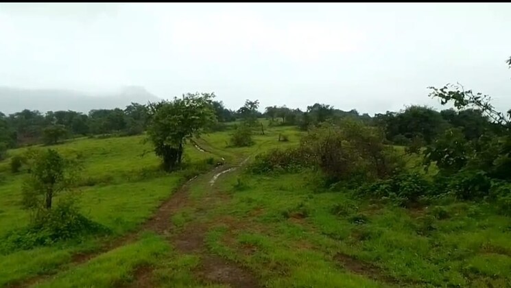Garden, mahad  10 Acre Plot In Mahad Raigad 9079980