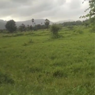  Plot For Sale in Bijwasan
