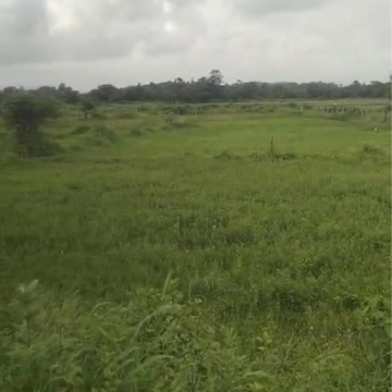 Plot Area in  Plot at Bijwasan – for Sale