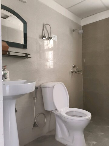 Bathroom in 3 BHK Apartment at Amrapali Terrace Homes, Tech Zone 4 Greater Noida – for Rent