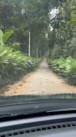 4356 Sq.Ft. Plot in Vythiri