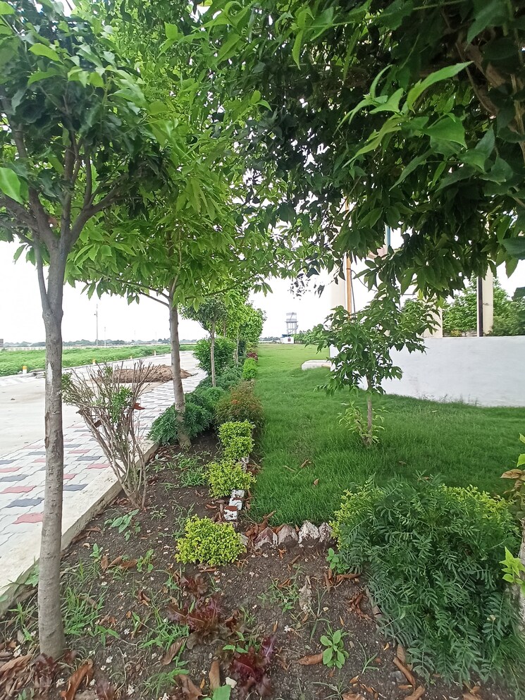 Garden, ringnodiya  1500 Sq.Ft. Plot In Ringnodiya Indore 9080305