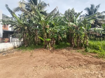 Plot Area in  Plot at Muttada – for Sale