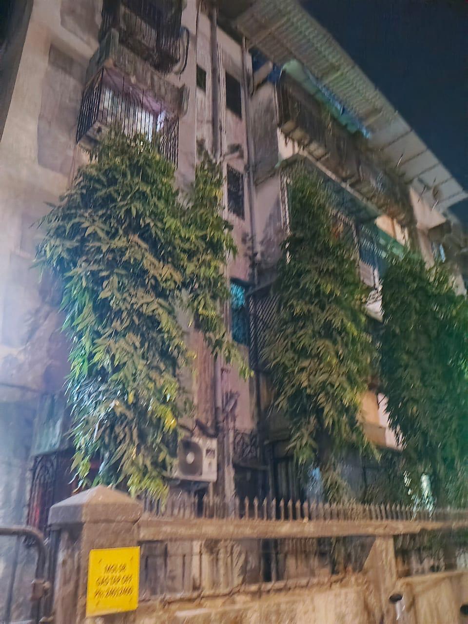 1 BHK Apartment For Sale in Sahyadri CHS Parel