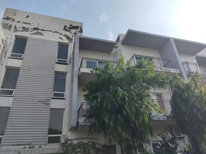 3 BHK Builder Floor For Sale in Sector 35