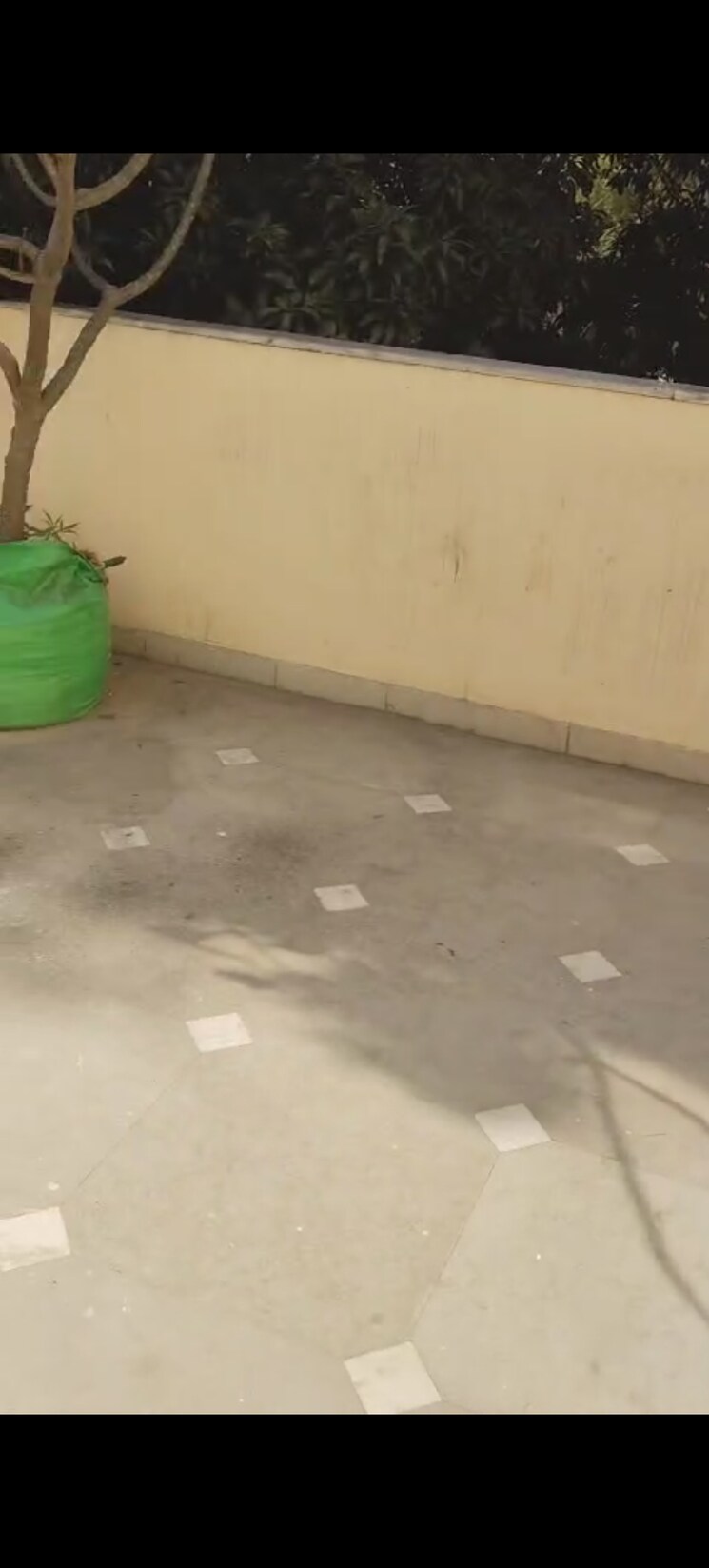 Room, dlf phase i 4 Bedroom 1800 Sq.Ft. Independent House In Dlf Phase I Gurgaon 9080875