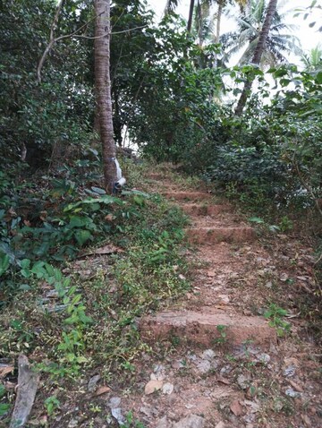 Plot Area in  Plot at Bajal – for Sale