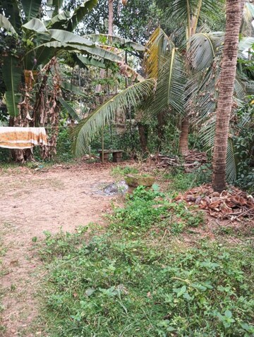Plot Area in  Plot at Bajal – for Sale
