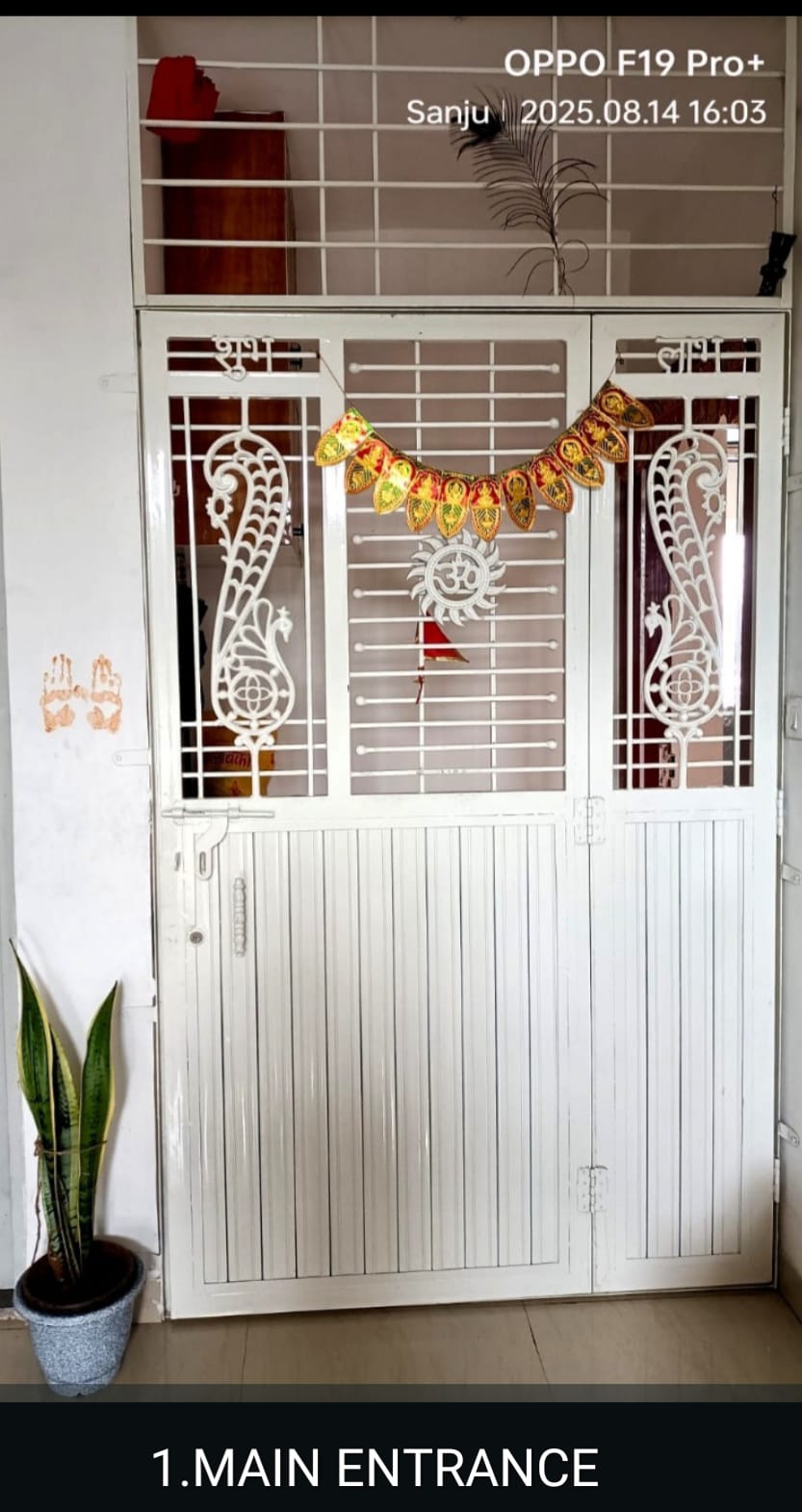 2 BHK Apartment For Sale in Sai Elouera