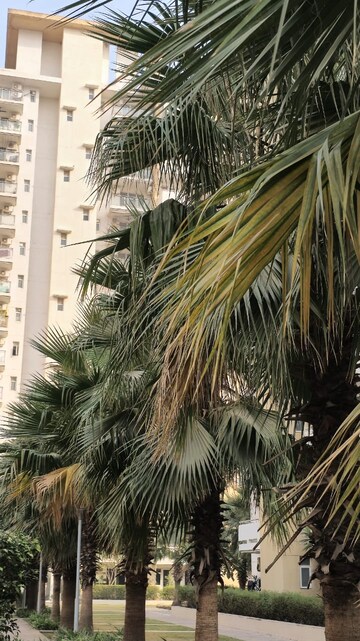 3 BHK Apartment – Exterior View View at Emaar Imperial Gardens, Sector 102 - for Sale