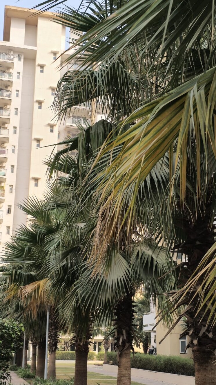 Exterior View, emaar-imperial-gardens 3 Bedroom 2025 Sq.Ft. Apartment In Sector 102 Gurgaon 9081201