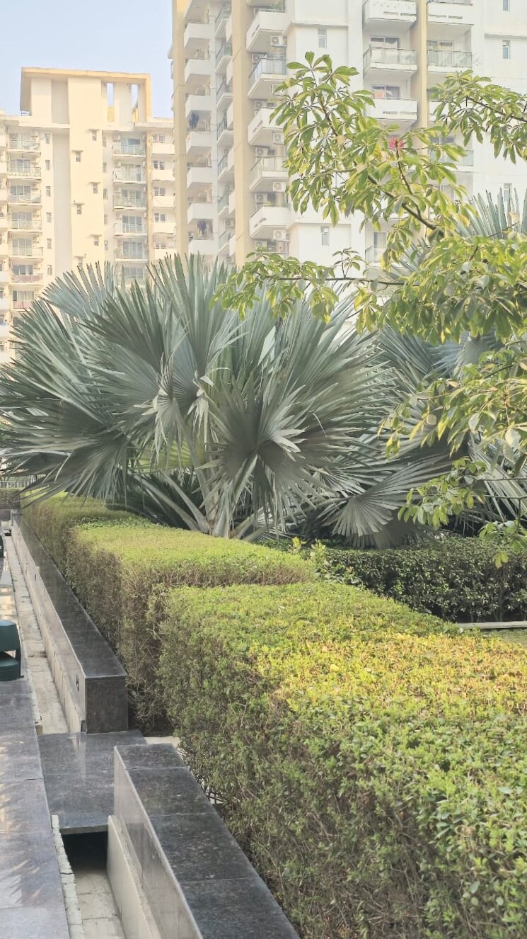 Garden, emaar-imperial-gardens 3 Bedroom 2025 Sq.Ft. Apartment In Sector 102 Gurgaon 9081201