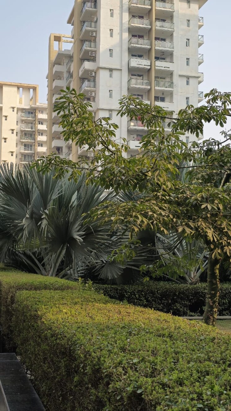 Garden, emaar-imperial-gardens 3 Bedroom 2025 Sq.Ft. Apartment In Sector 102 Gurgaon 9081201