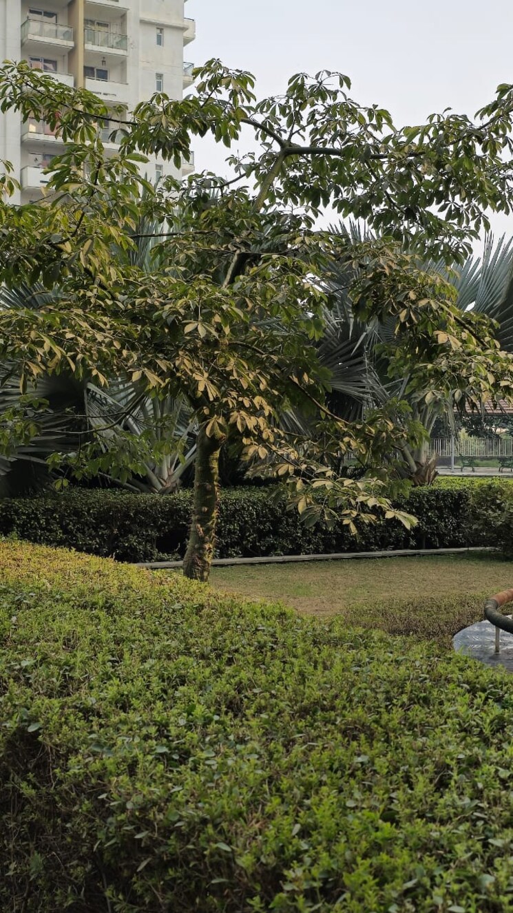 Garden, emaar-imperial-gardens 3 Bedroom 2025 Sq.Ft. Apartment In Sector 102 Gurgaon 9081201