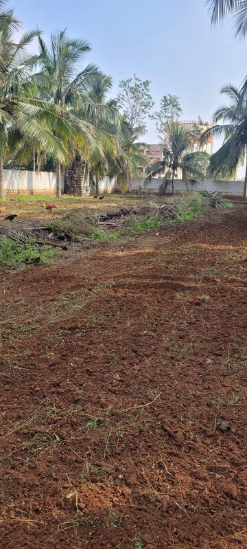 Plot Area in  Plot at Sherna Sathyanand Niketan, Kalapatti – for Sale