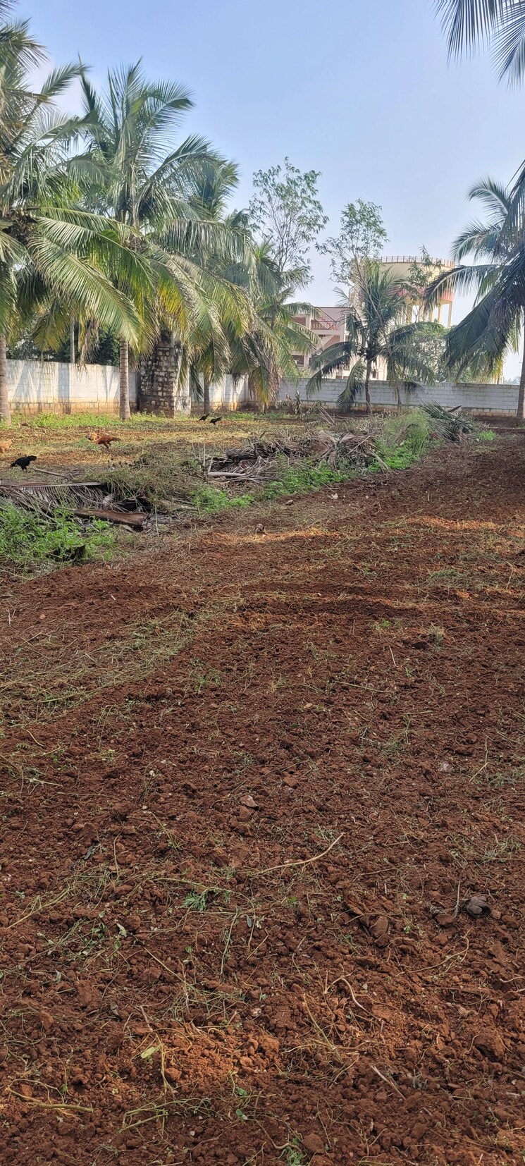 undefined, sherna-sathyanand-niketan  13939 Sq.Ft. Plot In Kalapatti Coimbatore 9081252