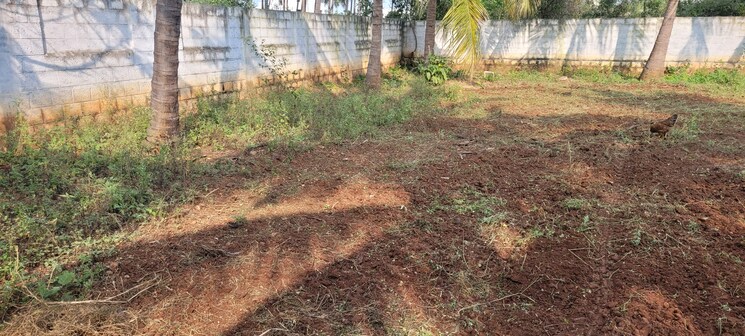 undefined, sherna-sathyanand-niketan  13939 Sq.Ft. Plot In Kalapatti Coimbatore 9081252