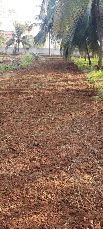 Plot Area in  Plot at Sherna Sathyanand Niketan, Kalapatti – for Sale