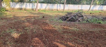 Plot Area in  Plot at Sherna Sathyanand Niketan, Kalapatti – for Sale