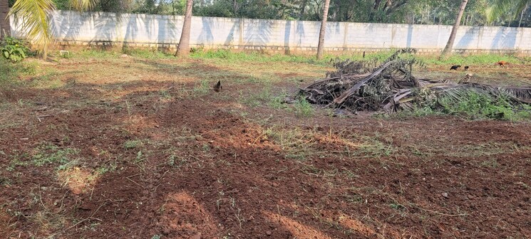 undefined, sherna-sathyanand-niketan  13939 Sq.Ft. Plot In Kalapatti Coimbatore 9081252