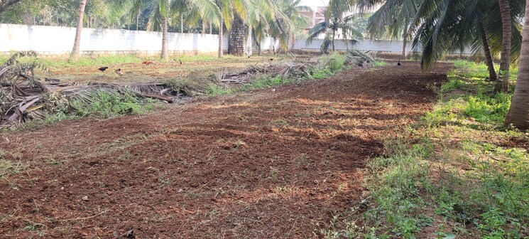 undefined, sherna-sathyanand-niketan  13939 Sq.Ft. Plot In Kalapatti Coimbatore 9081252