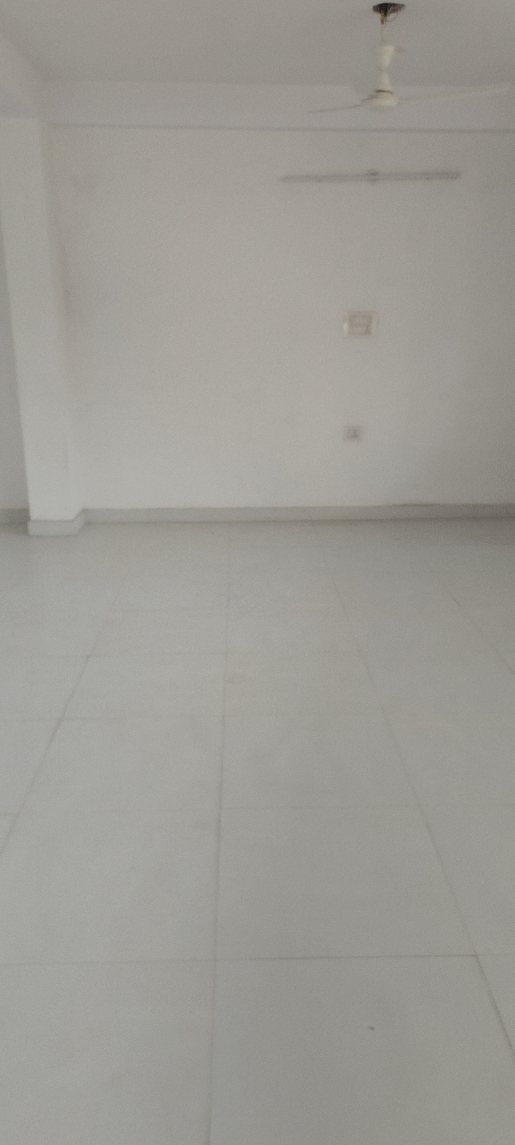 1 BHK Builder Floor For Rent in Saket