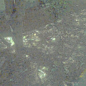  Plot For Sale in Vikas Nagar