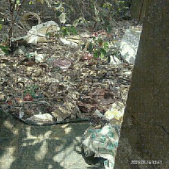 Plot For Sale in Vikas Nagar