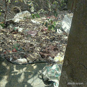  Plot For Sale in Vikas Nagar