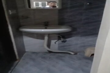 Bathroom in 1 BHK Apartment at Begumpet – for Rent