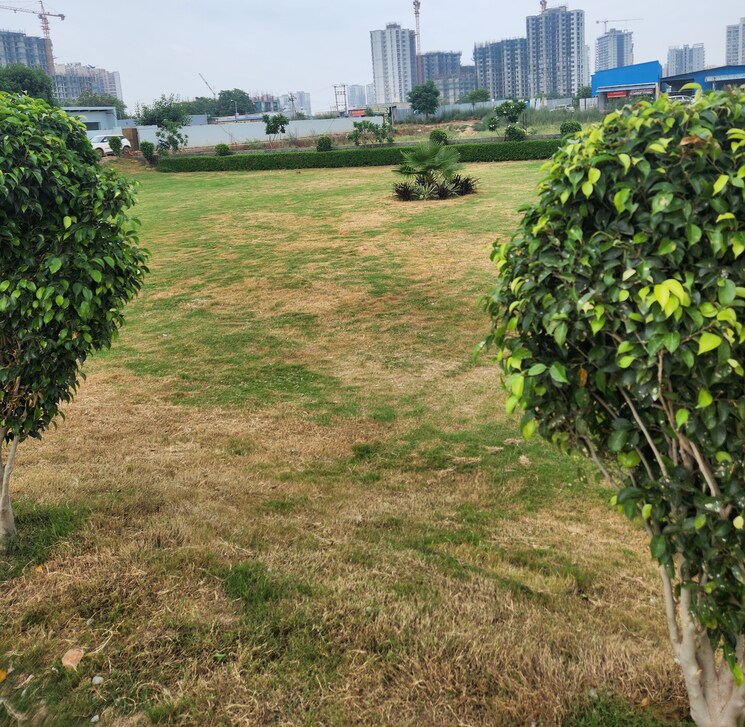 Garden, jms-the-pearl  149 Sq.Yd. Plot In Sector 95 Gurgaon 9081729