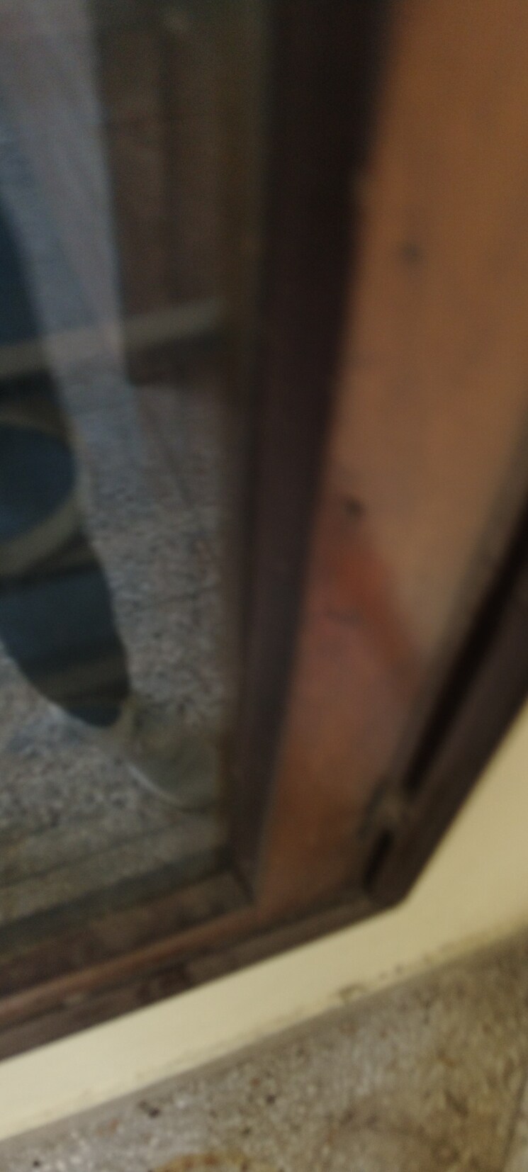 undefined, g block shastri nagar 2.5 Bedroom 1500 Sq.Ft. Builder Floor In G Block Shastri Nagar Ghaziabad 9082108